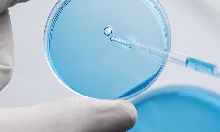 Welcome to Shanghai Jingfu Biotech Co., Ltd.